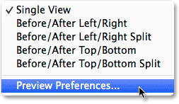 Choosing Preview Preferences in Camera Raw. 